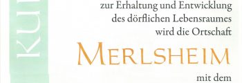 Kreissilberdorf 2013