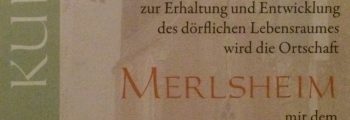 Kreisbronzedorf 2019