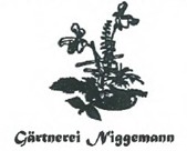 Blumenhaus Niggemann schließt