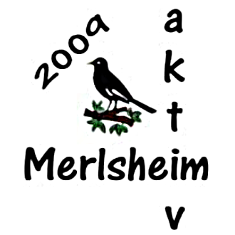 Merlsheim Aktiv